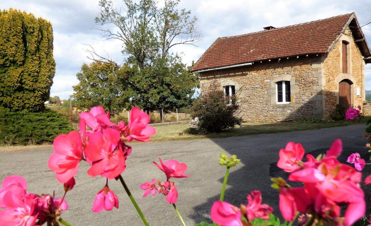 Les Hauts De Malirat Capdenac-Gare ภายนอก รูปภาพ